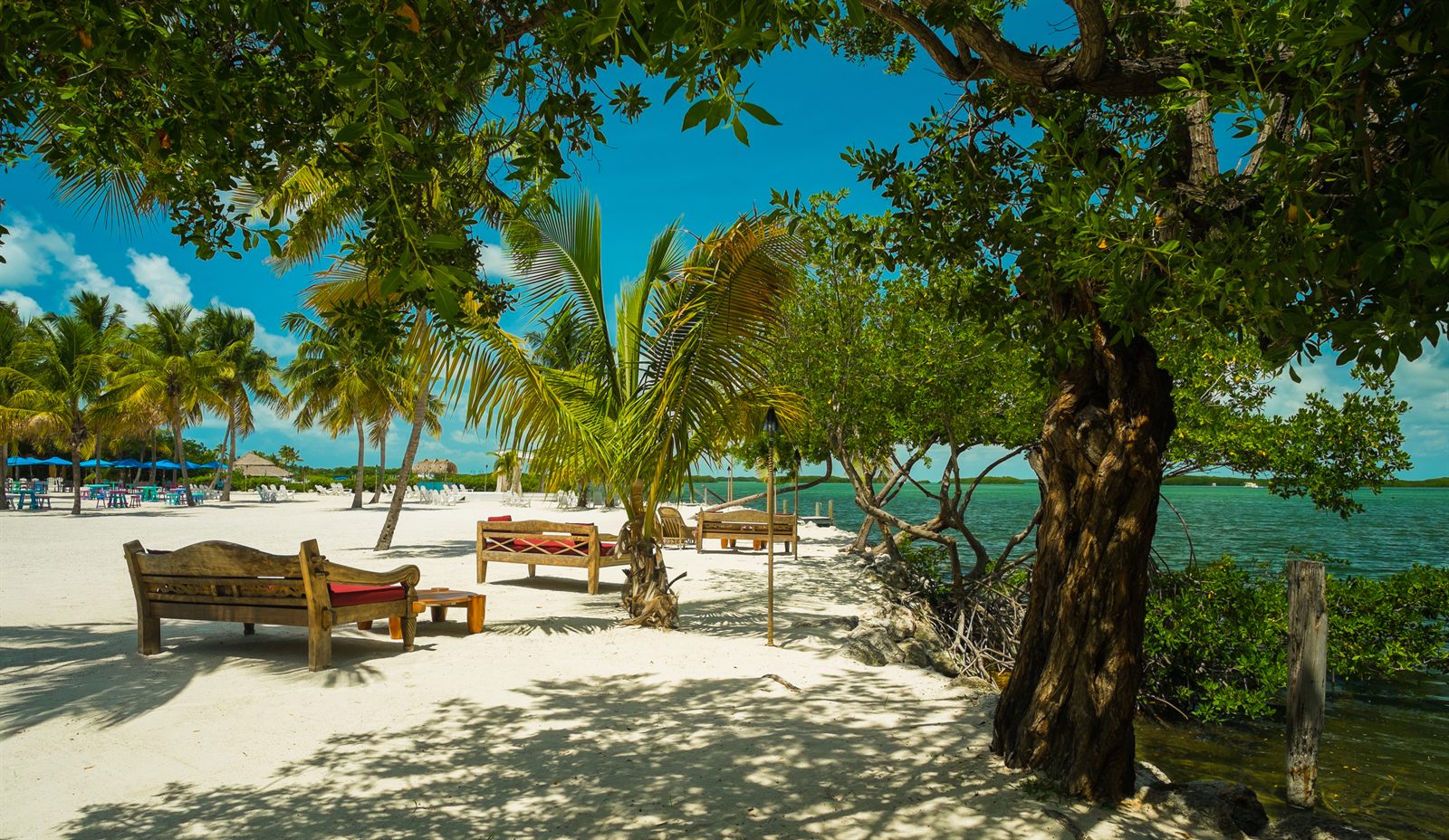 White-sand beach and turquoise water
